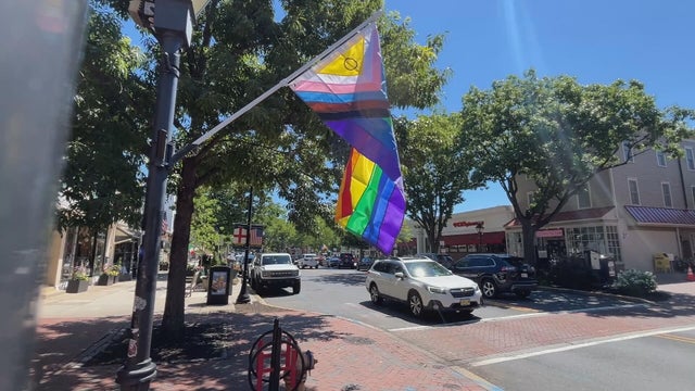 16pkg-rh-haddonfield-pride-flags-damaged-transfer-frame-0.jpg 