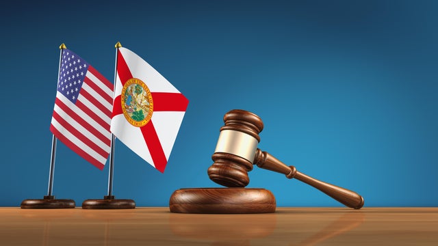 Florida Flag USA Flag American Law Legal System Concept 