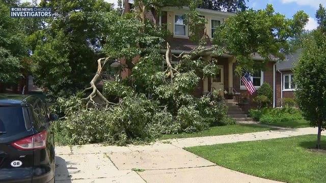 beverly-storm-damage-1.jpg 