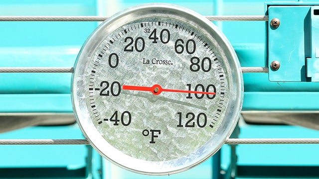 100.jpg 
