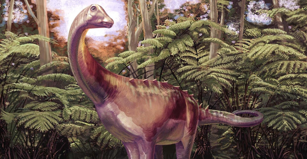 Fossil found tucked away in a drawer turns out to be first dinosaur ...