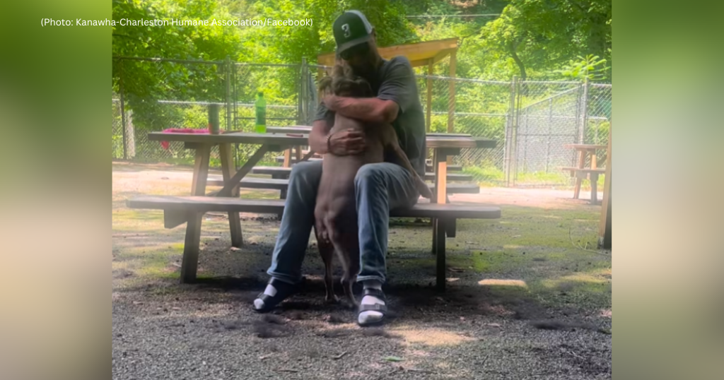 Watch the emotional moment a dog whose owner died in a crash is reunited  with his family - CBS Pittsburgh
