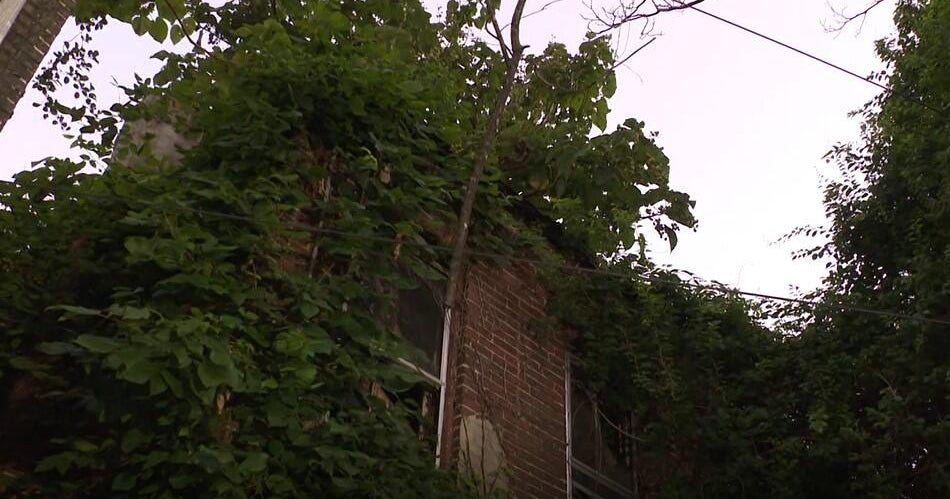 State, city investing millions to decrease vacant properties in Baltimore