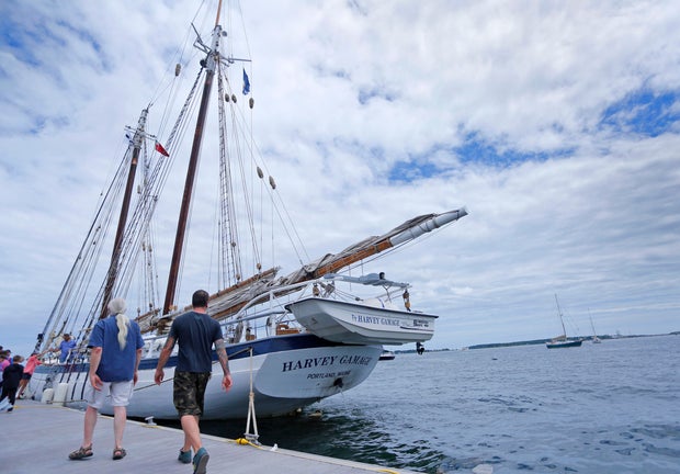 Sailing regatta
