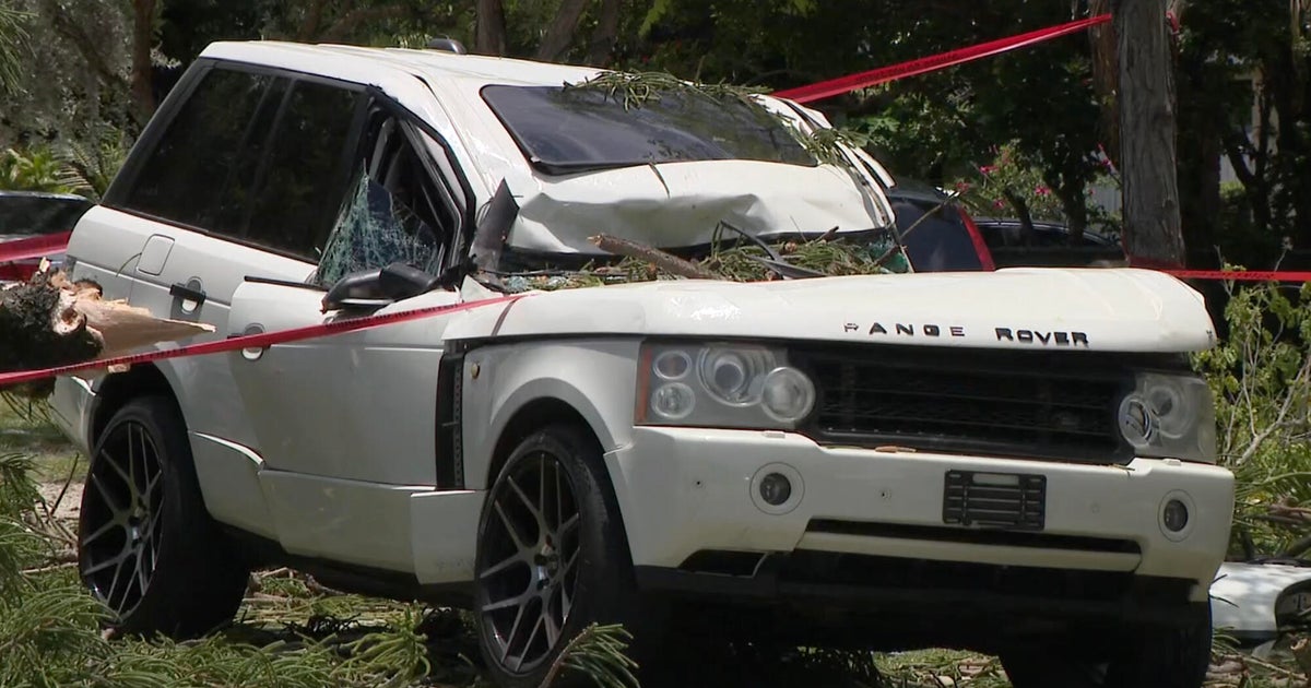 Video shows moment when lightning strike causes tree to fall onto moving Range Rover in North Miami