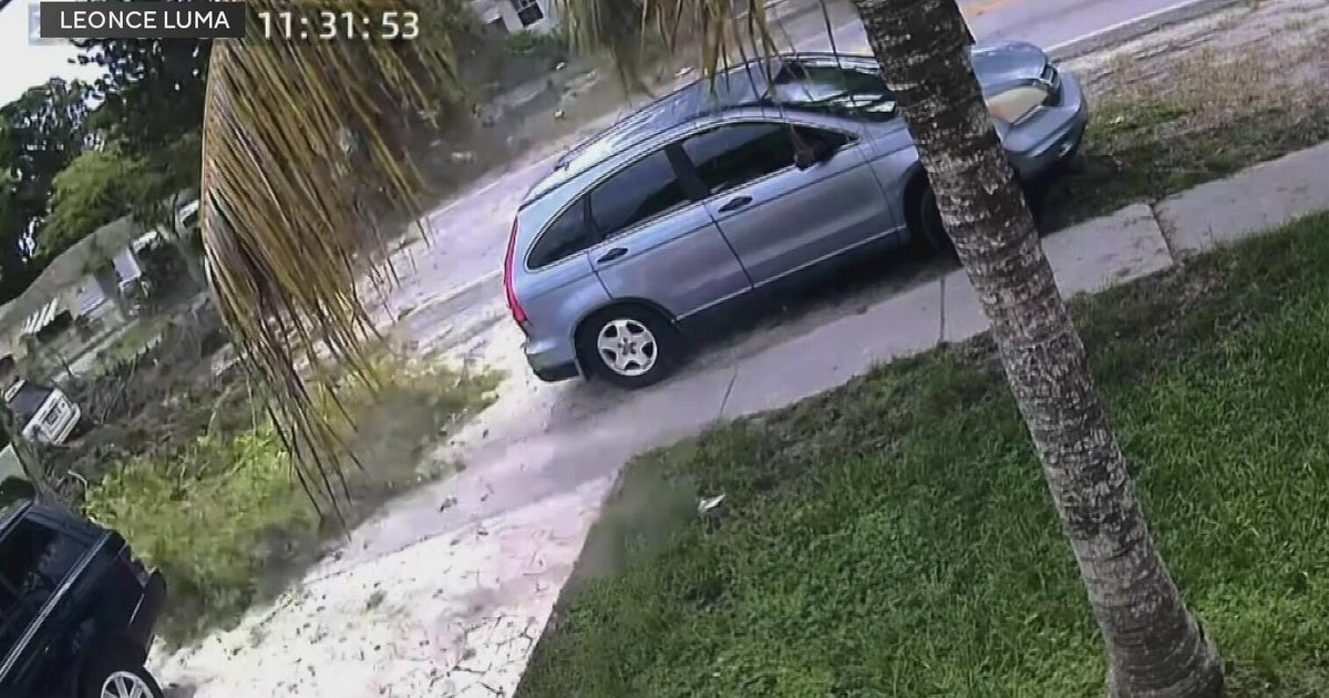 Tree crashes onto Range Rover in North Miami after being struck by lightning