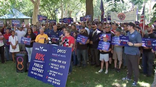 peco-strike.jpg 