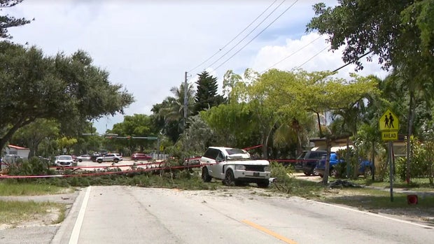 cbsmiami-lightning-tree-suv-2.jpg