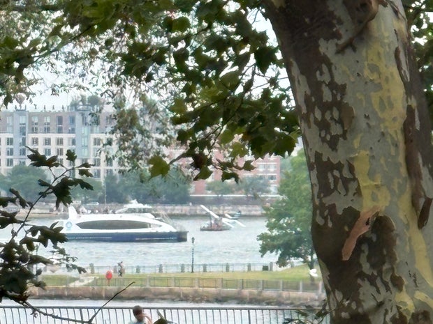 img-4811.jpg
