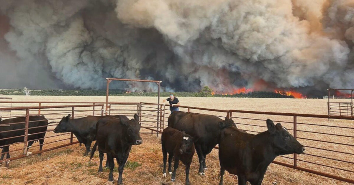 Colorado ranchers rush to save livestock as Aspen Acres Fire pushes south