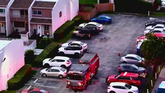 cbsmiami-hollywood-fire-1.jpg 