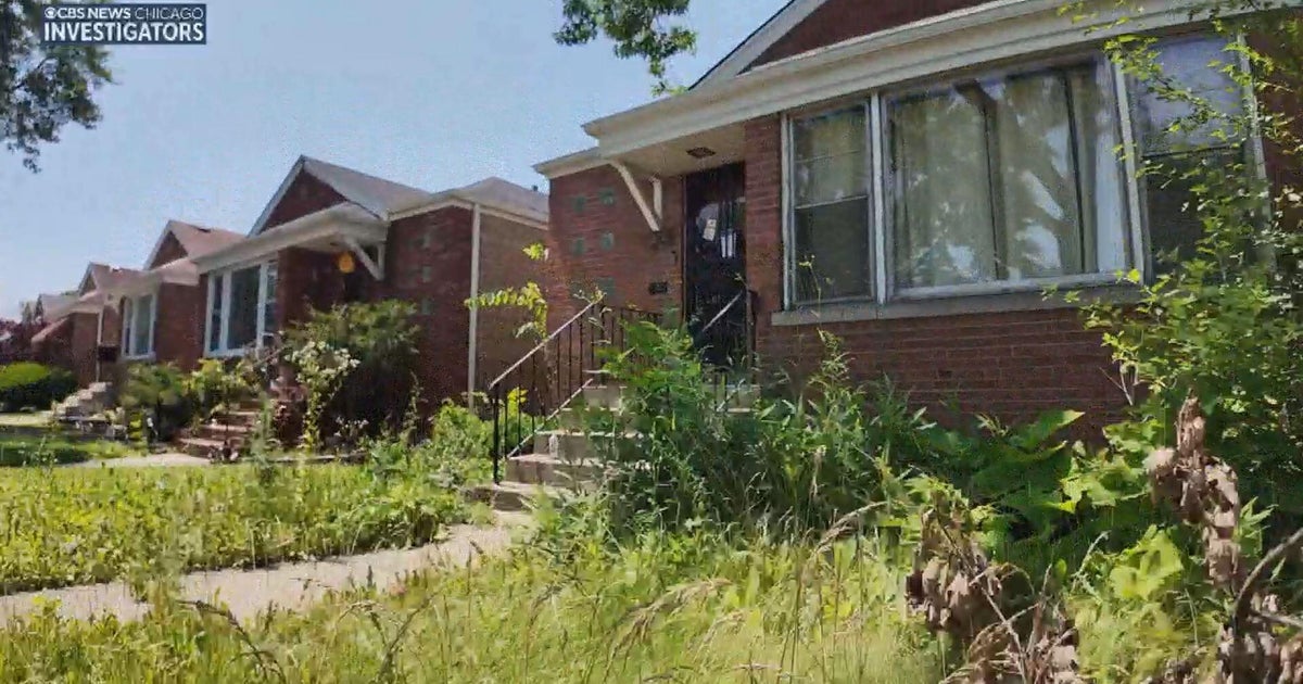 Neighbors on South Side block say property is overgrown and city is not taking action