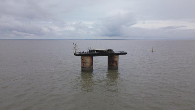 sealand-video-wertheim.jpg 