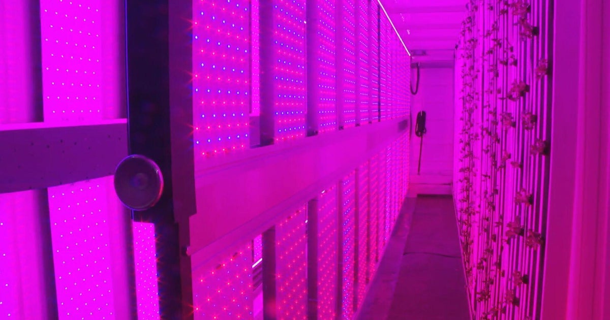 Ford Heights, a Cook County food desert, gets a high-tech hydroponic farm