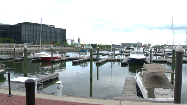 harbor1.jpg 