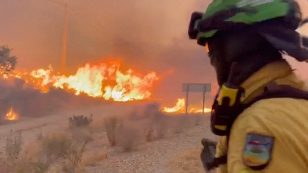At least 12 killed by wildfire in southern Spain: 