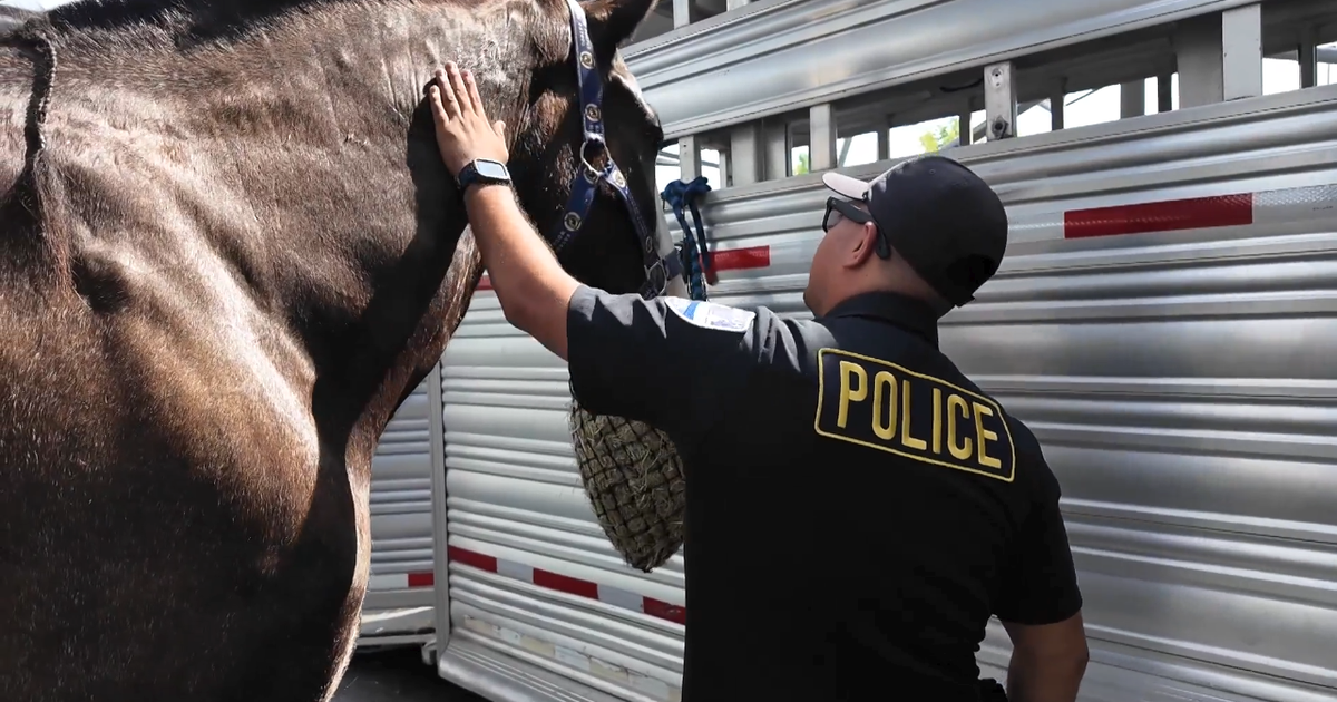 Multi-agency mounted patrol working to keep crowds safe during final week of Atlanta's World Cup festival
