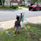 A boy's simple habit of waving to his neighbors transformed his community