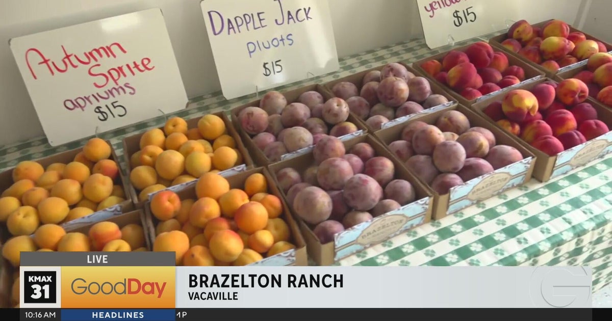 Brazelton Ranch in Vacaville has fresh produce, flowers and more!