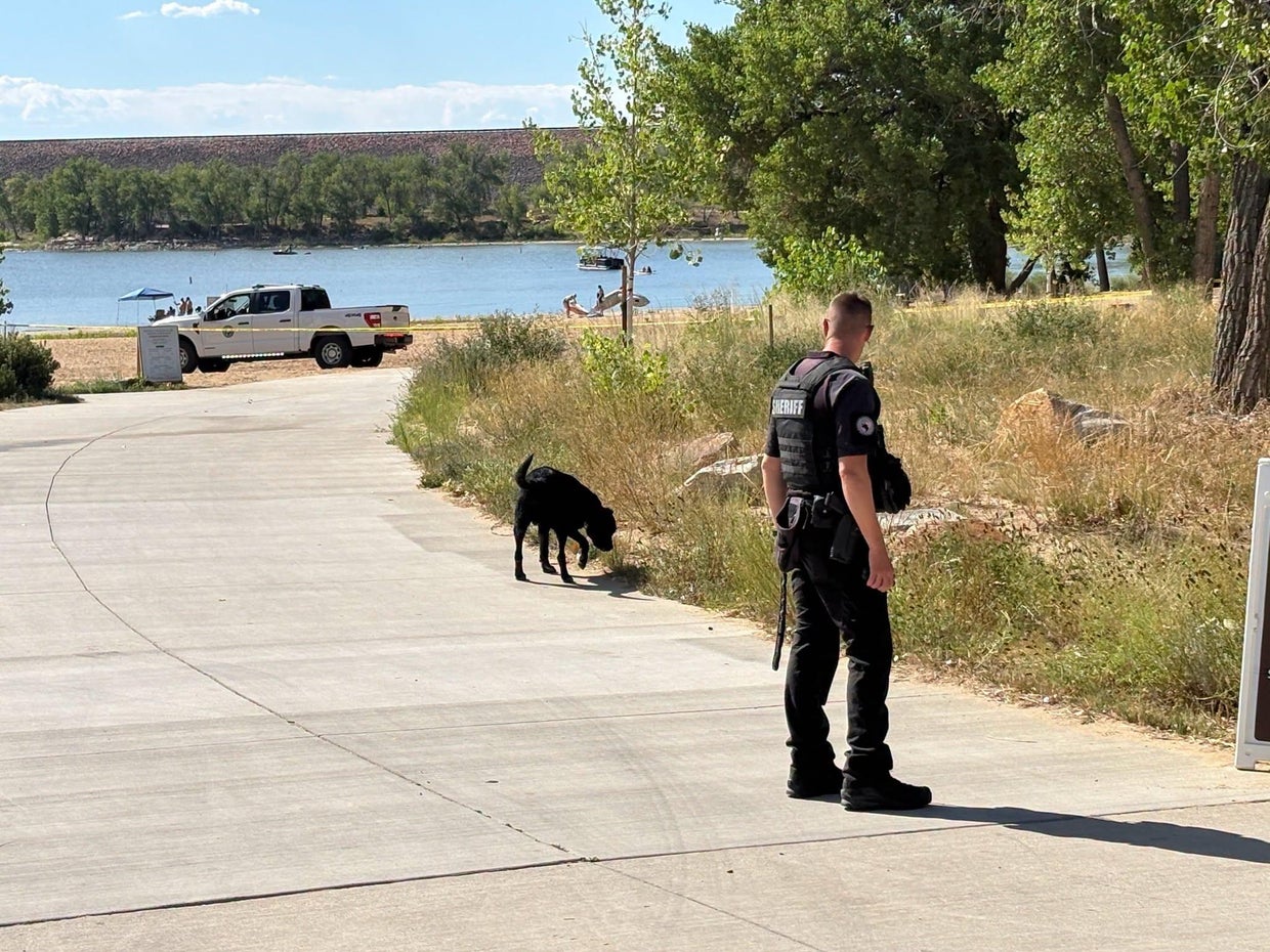 Multiple people arrested in connection with shots fired at Cherry Creek ...