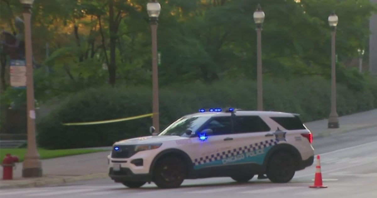 Chicago police investigate gunfire involving officers in Grant Park