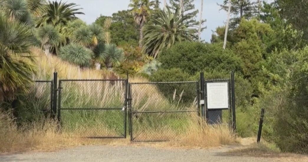 Hilltop area near Marin County's King Mountain Reserve could soon open to the public