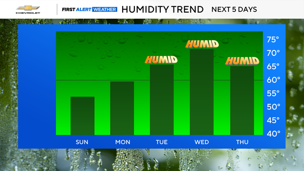 bar-graph-humidity-trend-template.png
