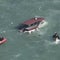 1 dead, 3 missing after boat sinks near Alcatraz Island in San Francisco Bay