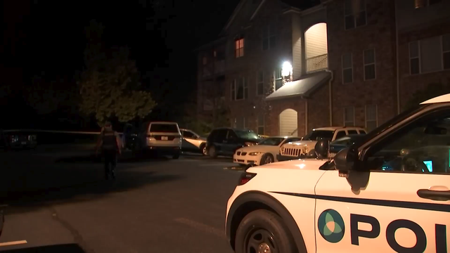 gwinnett-co-carjacking.png 