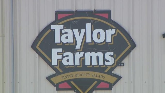 taylor-farms.jpg 