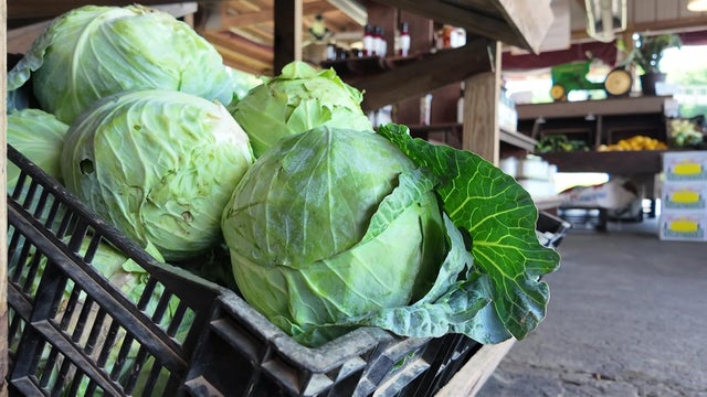 Lettuce for sale at Alstede Farms 