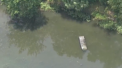ponddeaths.png 