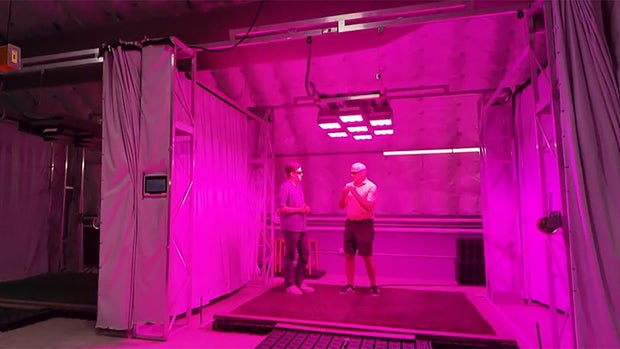 testing-grow-lights.jpg