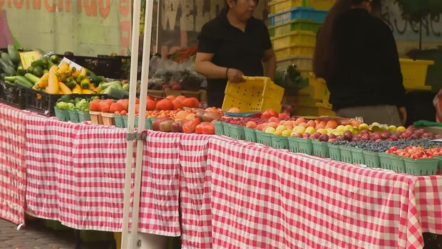 Glenwood Sunday Market celebrates 17 years bringing fresh food to Chicago's Rogers Park community