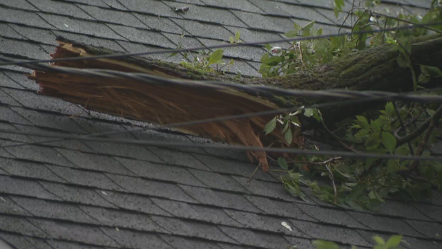 storm-damage.png 