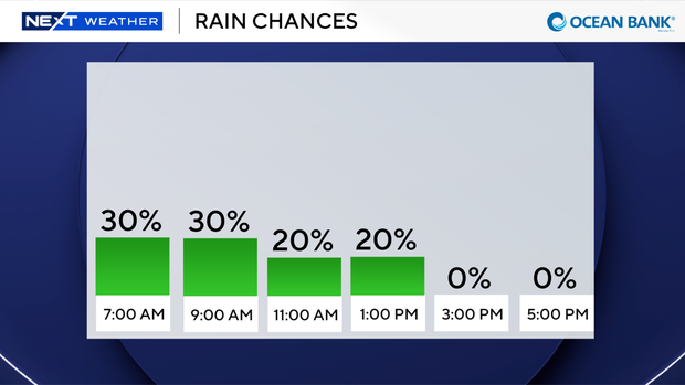next-6-hours-rain-auto.png
