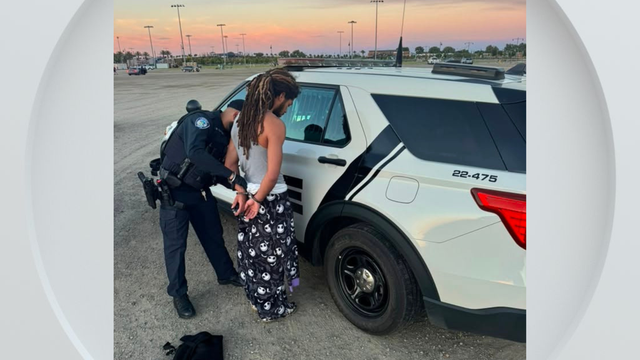 lodi-bb-gun-car-vandlisms-arrest.png 