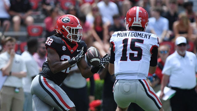 COLLEGE FOOTBALL: APR 18 Georgia Spring Game 