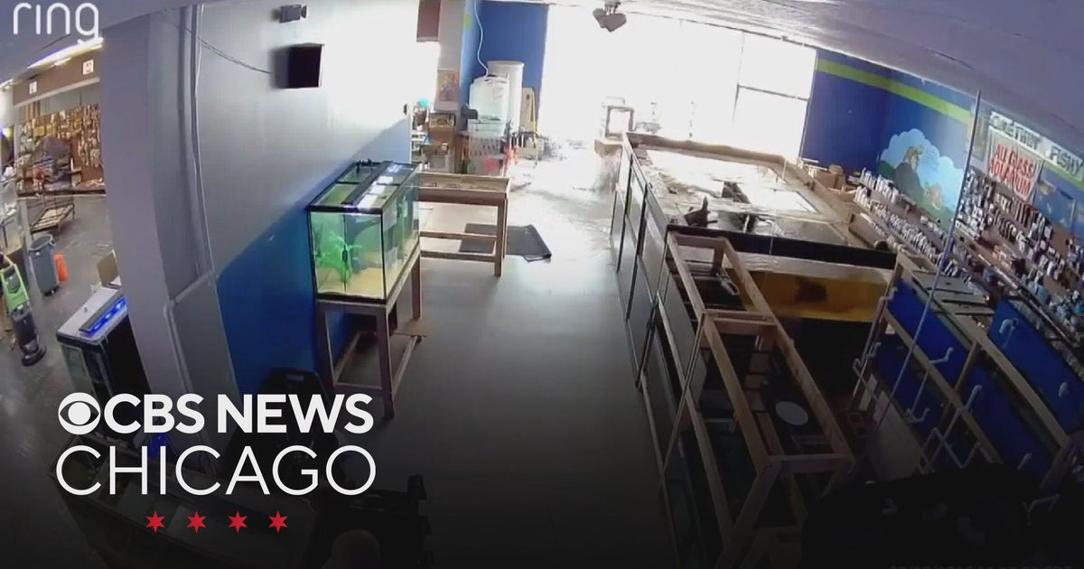 2,000 gallon fish tank bursts at Fox Lake pet store, flooding business