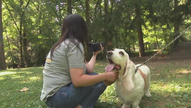 Photographer helps pet parents remember the good times with end-of-life photo shoots