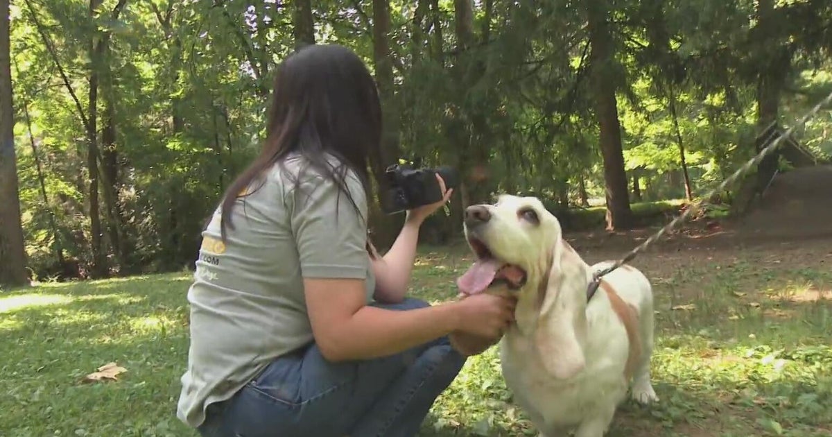 End-of-life photo shoots for pets