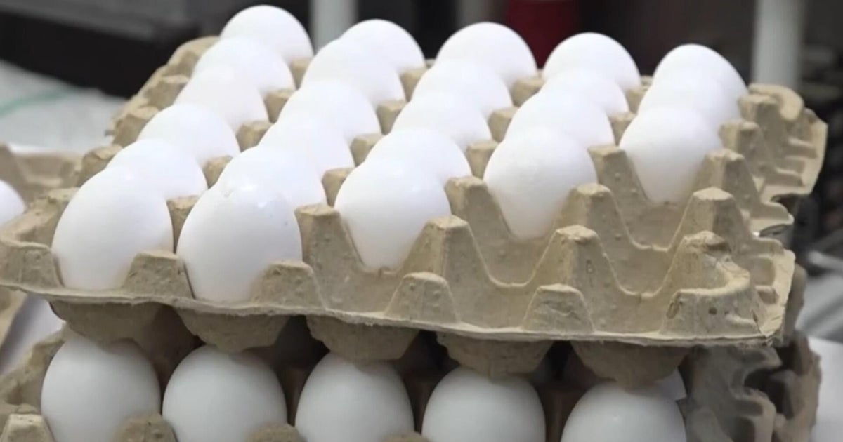 1.6 million eggs recalled over possible salmonella contamination