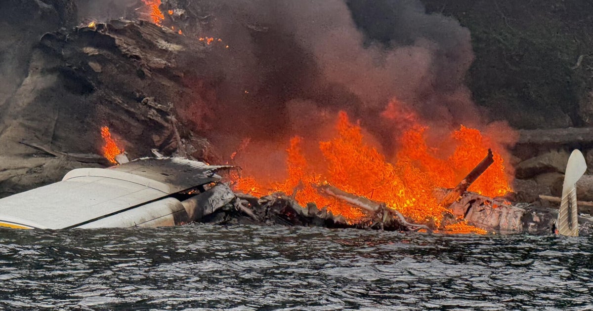 Thumbnail for All 11 on seaplane that crashed, caught fire north of Seattle survive