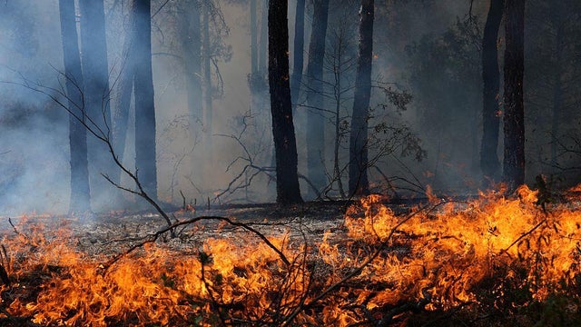 SPAIN-WILDFIRE-EMERGENCY-GOVERNMENT-CLIMATE 