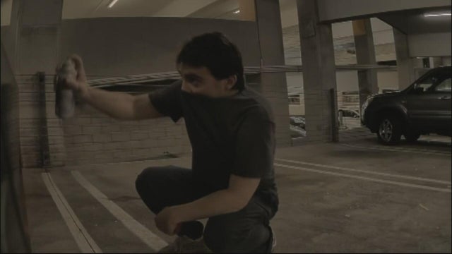 tesla-tagger.jpg 