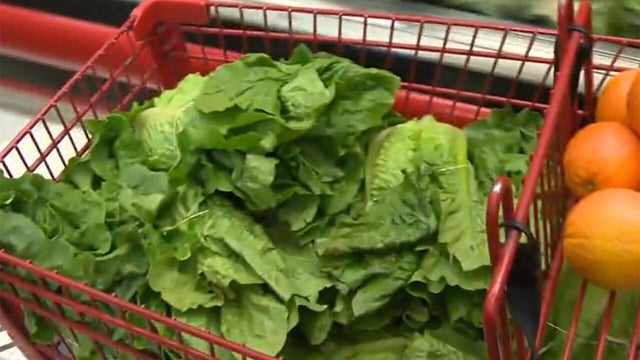 lettuce.jpg 