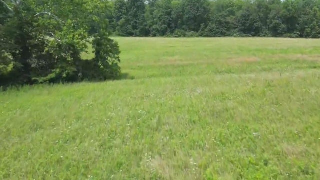 snapshot-2026-07-27t170803-572.jpg 