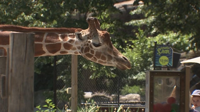 philadelphia-zoo.jpg 