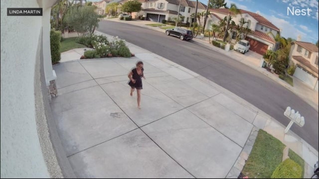 stevenson-ranch-snake-bite.jpg 