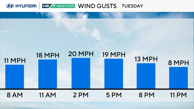 z-gusts-tom.png 